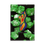 Thumbnail: SWEET LOVE - GREEN