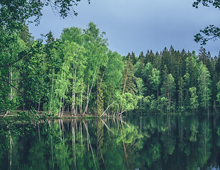 PAT03774.JPG