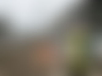 Engineer reviewing plans at Auckland construction site