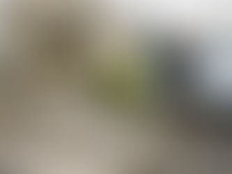 Tradesperson working on new Auckland concrete driveway