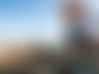 Manager reviews plans at Auckland earthworks site