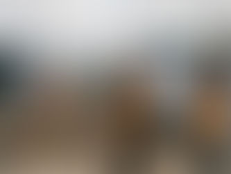 Site manager and contractor at Auckland build