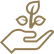 seeding.png