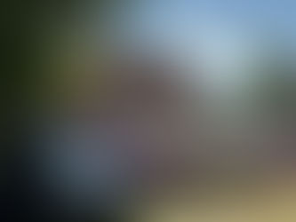 Succé när Bilentusiaster fyllde Silverforsens Folkets Park