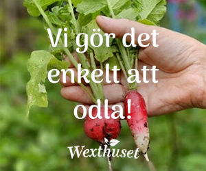 Wexthuset.jpeg