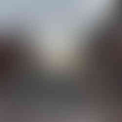 Polisbil som spärrar av Mårtensgatan