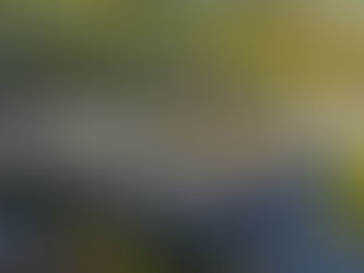 Kommer kommunen processa mot medborgare medans de förlikar med stora byggbolag?