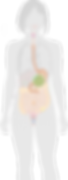 02.png