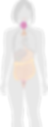 01.png