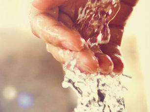 Les probiotiques… une cure de jouvence?