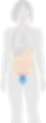 05.png