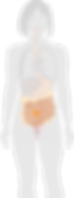 03.png