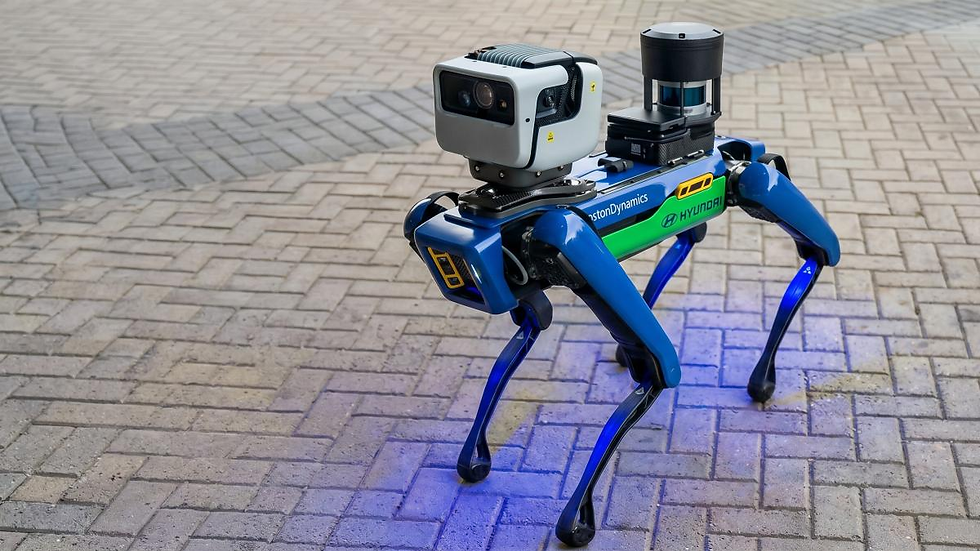 Robot Boston Dynamics