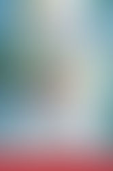 a woman in a white gauzy dress and red shoes walks down a white path strewn with red flower petals bordered by blue flowers and green grass on either side.