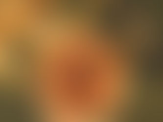 Où manger à Paris ? Nos décéptions et découvertes