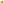 Yelllow Flowers