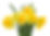 Yelllow Flores