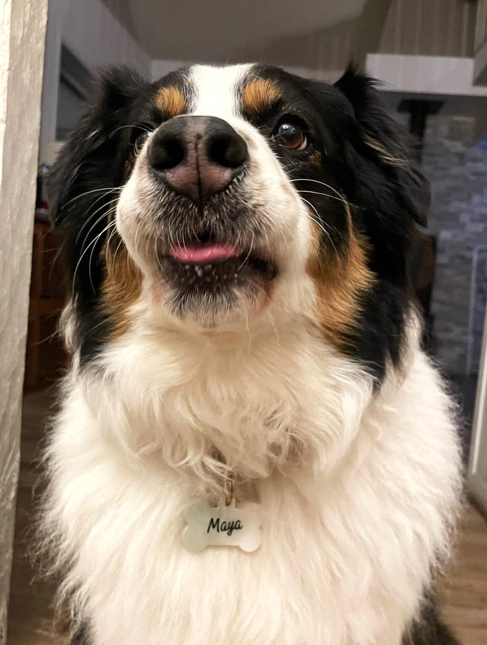 Miniature : Médaillon animaux