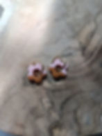 Miniature : Boucles d'oreilles Pampilles