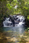 IMG_8845.jpeg