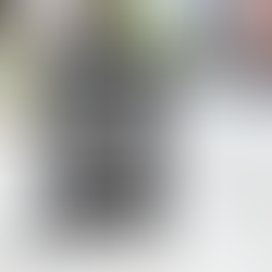 DELIVERED +100% DIGITAL SALES GROWTH AND DROVE A CUSTOMER FILE INCREASE OF 25PPS ABOVE TREND