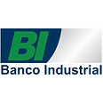 bi logo.png