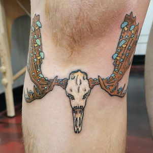 fungus skull.jpg