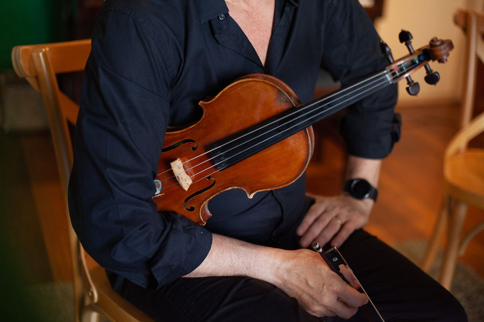 Violino