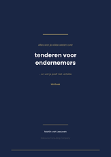 tenderen-miniboek-cover.png