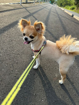 オフ期間の過ごし方