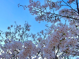 新学期スタート!