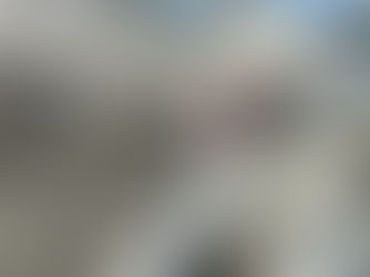 好きな犬種について