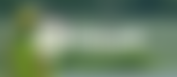 Solve the Equation: How to Meet Needs for Rural Communities