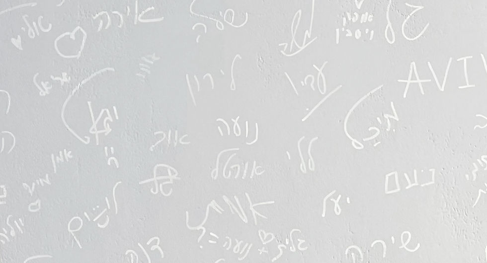 לשים באתר.jpg