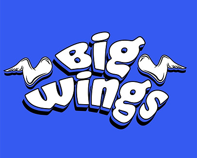 BIG WINGS ON BLUE.jpg
