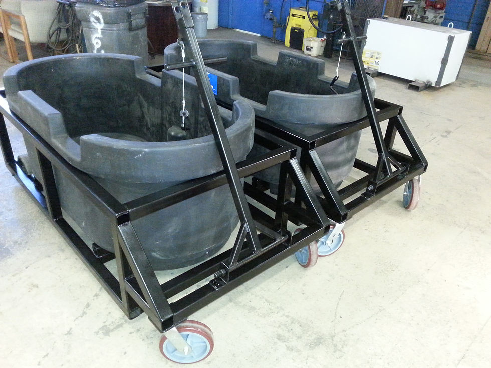 custom carts