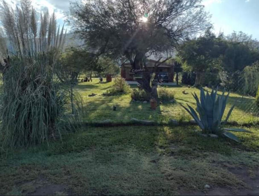 Miniatura: Complejo de cabañas 160 Mts2
