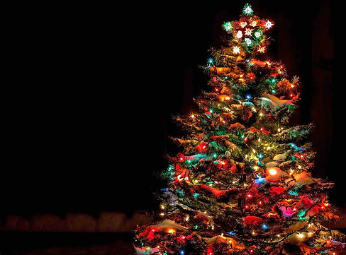 Christmas-Tree_web-scaled.jpg