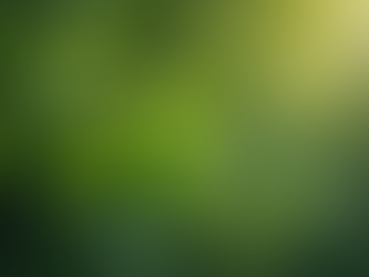 Moringa Benefits for Men: Unlocking Nature’s Power for Male Health