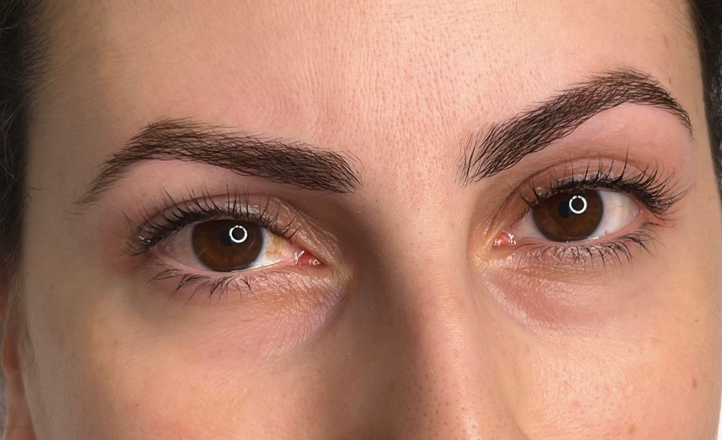 Seminar LashLift & BotoxTint