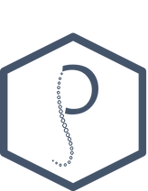 LOGO KINEPRAKTIJK PJ.png