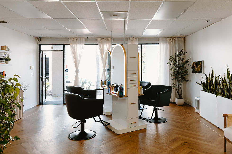 Sunlit styling stations at Certified Vixen in Solana Beach