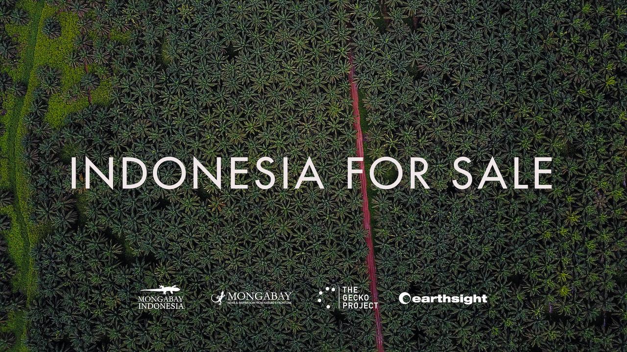 Indonesia for Sale