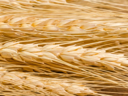 Counting the omer