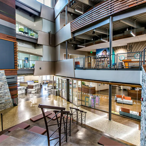 Rough and Finish Carpentry, Commercial Construction