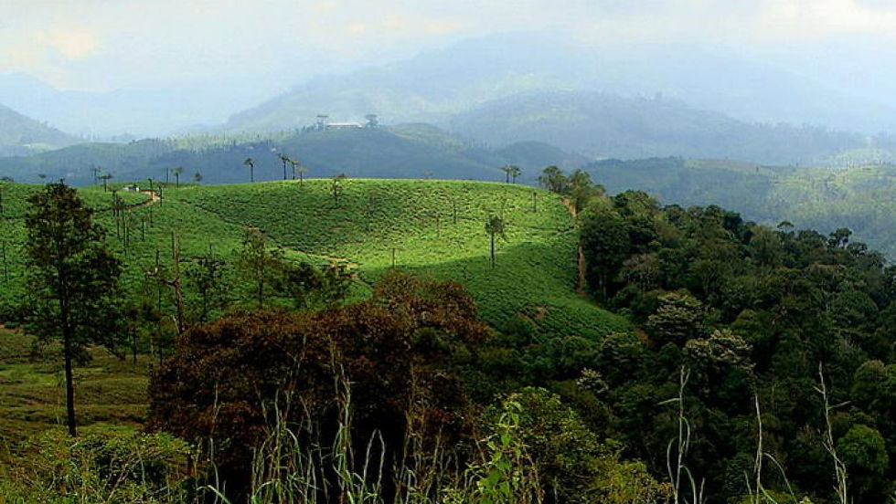 Valparai is a hill station in the South Indian State of Tamil Nadu | Lush Green and Picturesque, it is one of India's hidden gems! | Hidden gems of India | Hidden places in India