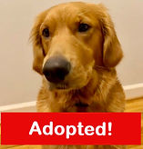 Tater at Fox 5_edited.jpg