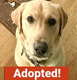 Tater at Fox 5_edited.jpg