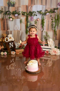 Cape town cake smash photographer