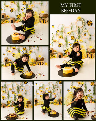 cake smash photographer cape town